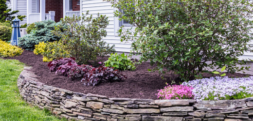 mulch and garden bed with trees and flowers